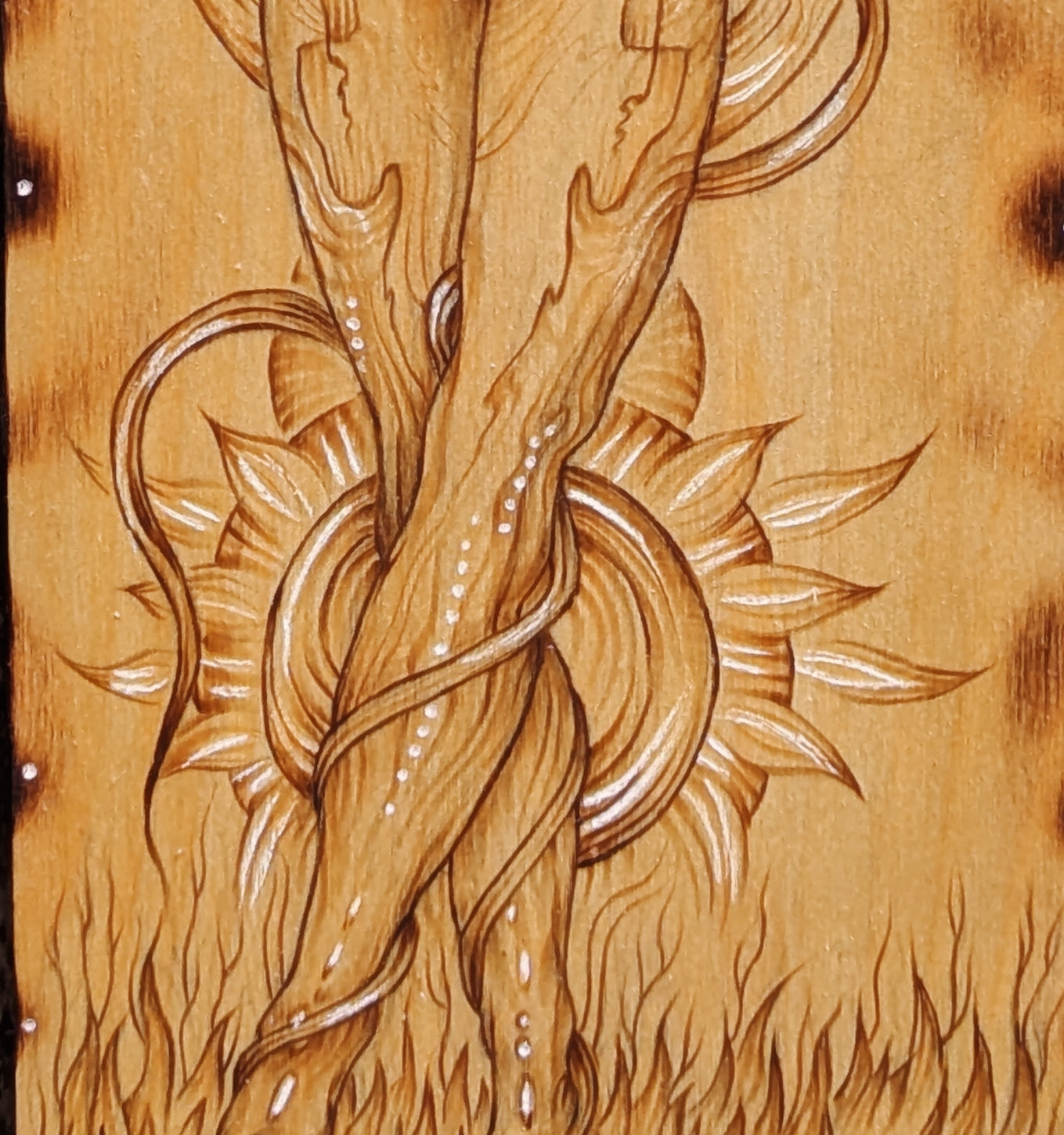 "Embryo" Pyrography Original Artwork