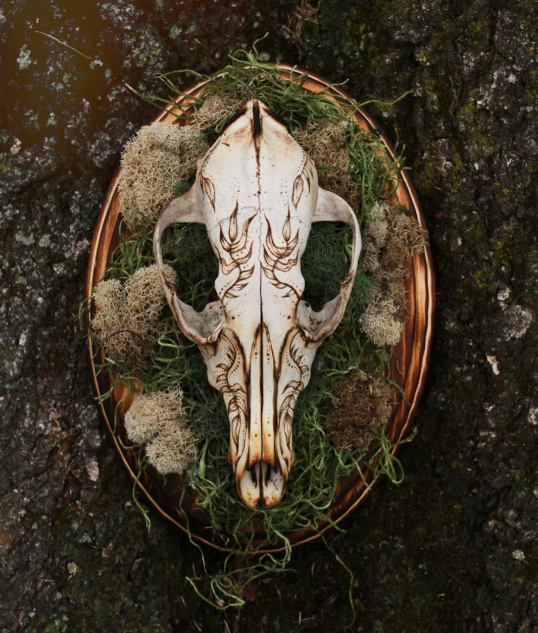 Skulls & Bones