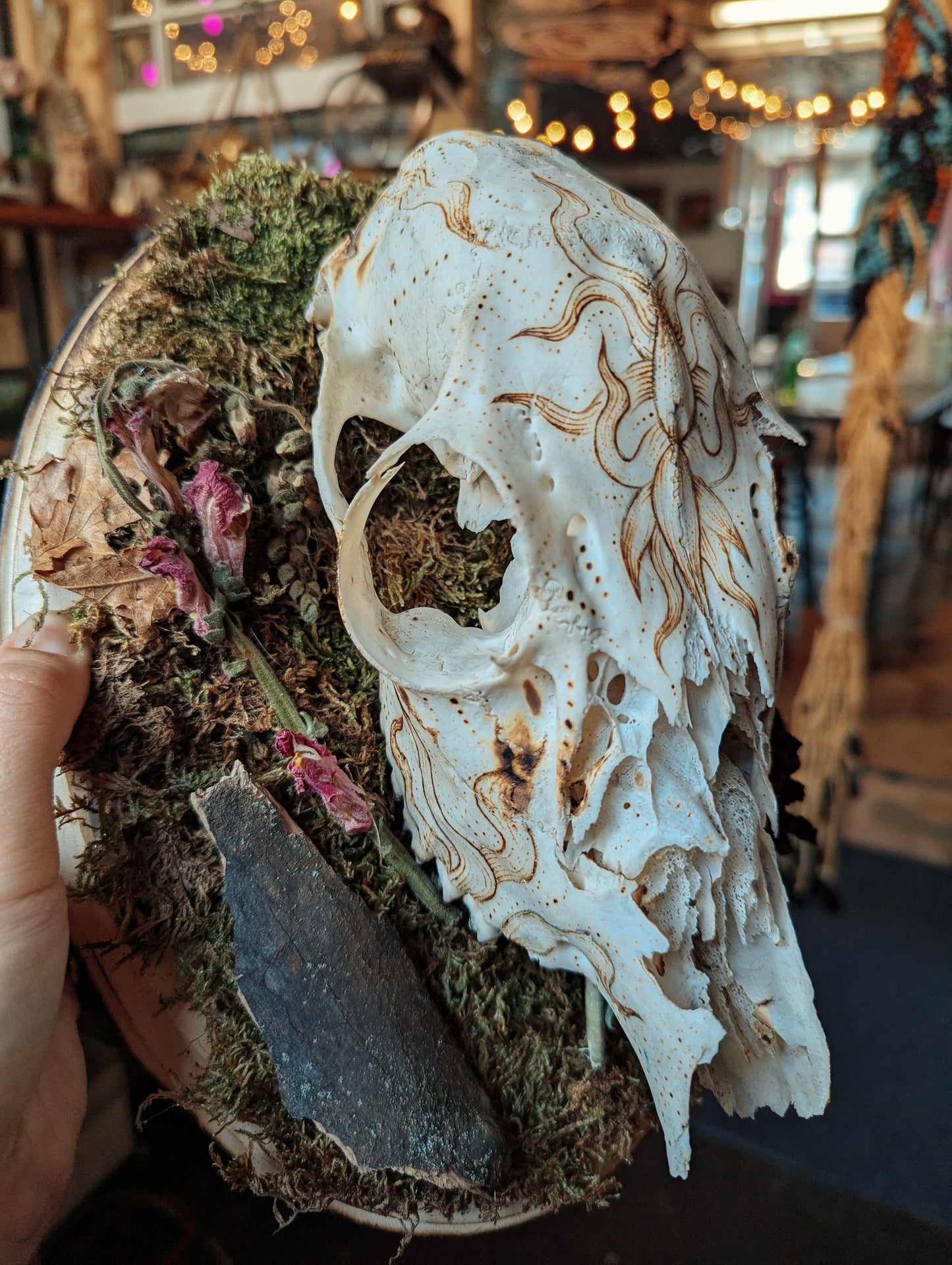 Mandala Pyrography Deer Skull